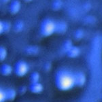 Андрес Иньеста признан лучшим игроком Евро-2012